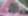 Cover for event: last bloom vol. 4 | open air