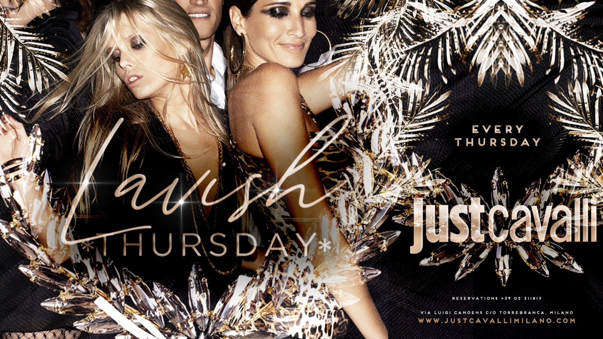 LAVISH - THURSDAY NIGHT