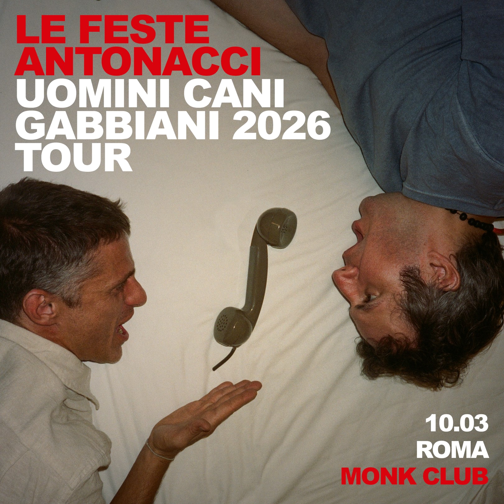 LE FESTE ANTONACCI image