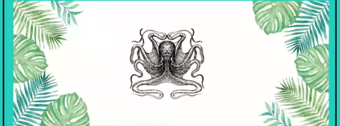 Le Poulpe Je T'aime a La Folie : Katapult & Pepiita image