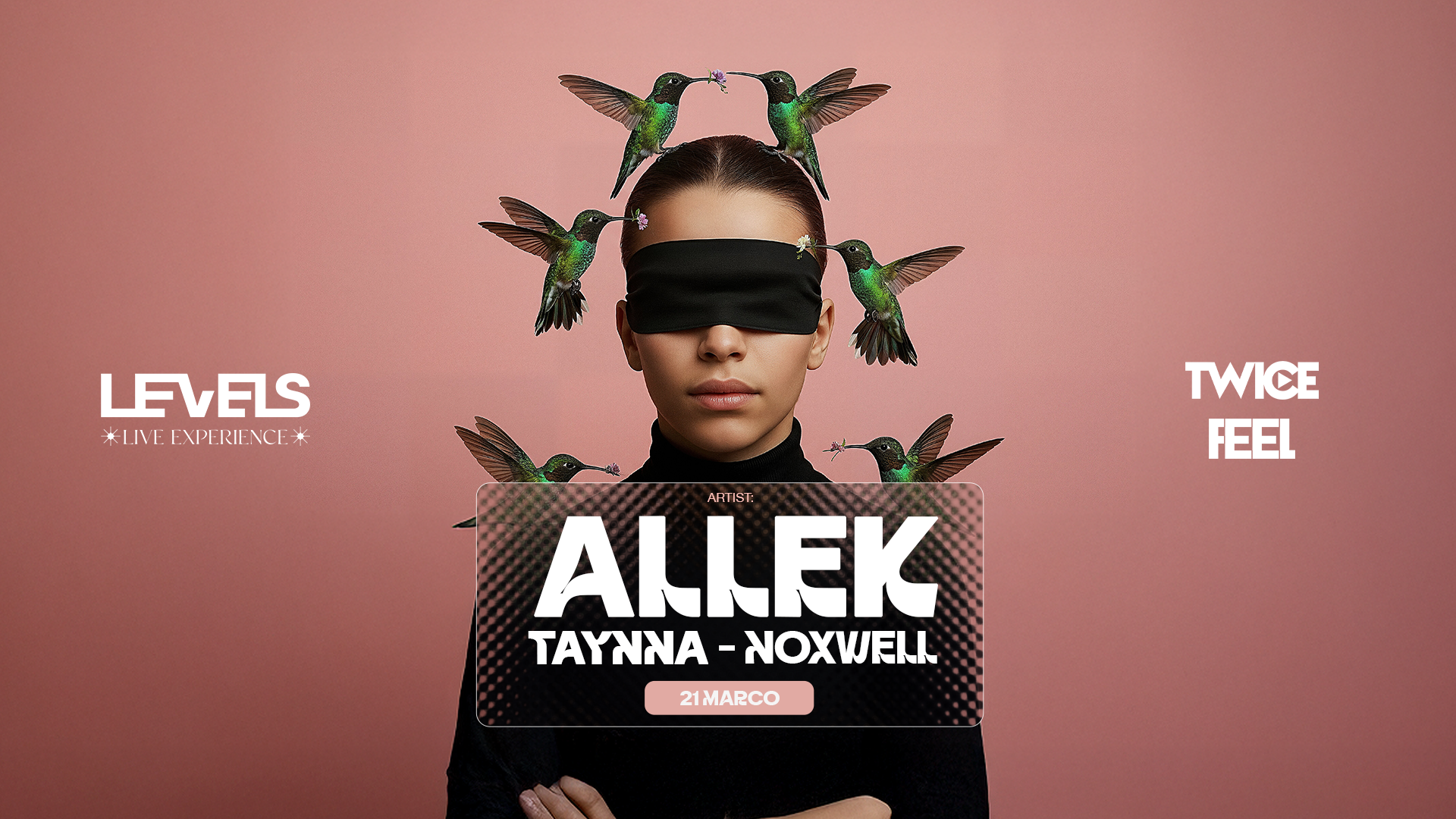 LEVELS Live Experience  image