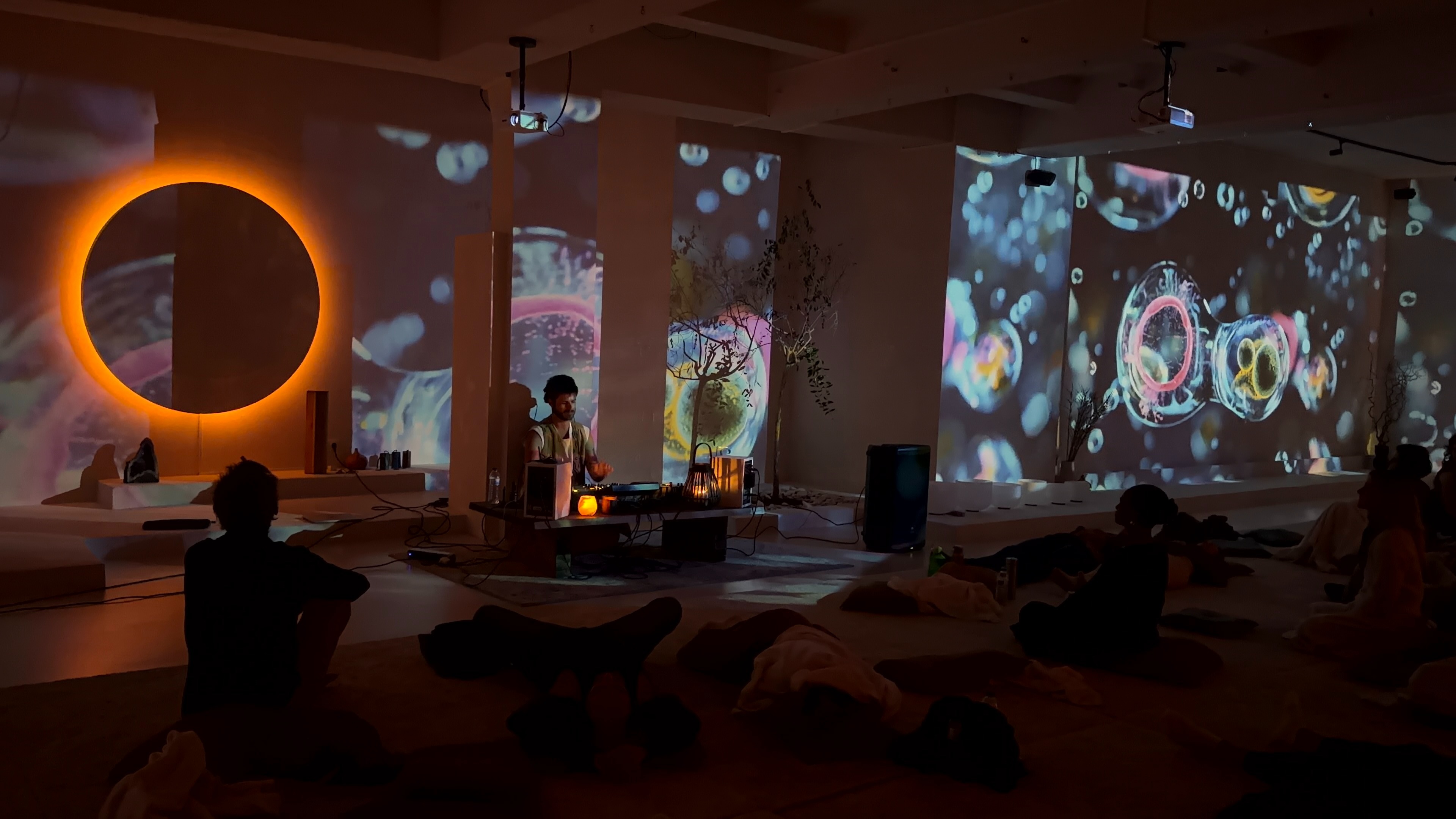 LILA immersive  image