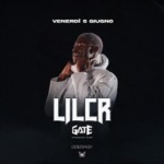 LILCR image