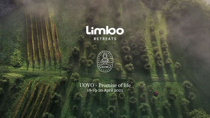 Cover for event: Limbo Retreat - April 2025