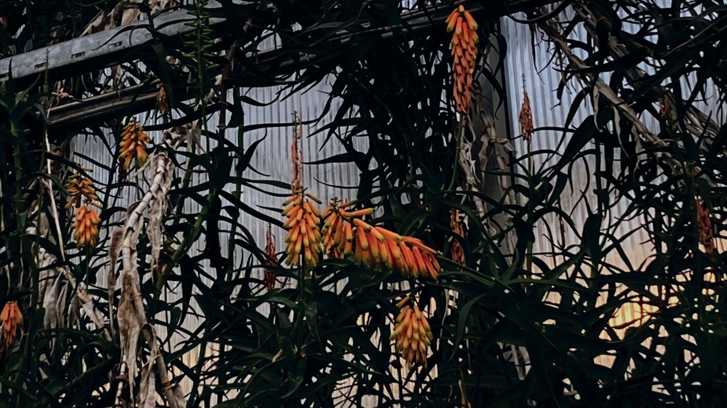 lim.studio presents DJ AYA & NOMTAH image