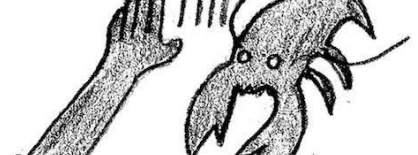 LOBSTER THEREMIN 5 YEARS PARTY: ASQUITH + NTHNG + ROUTE 8 image