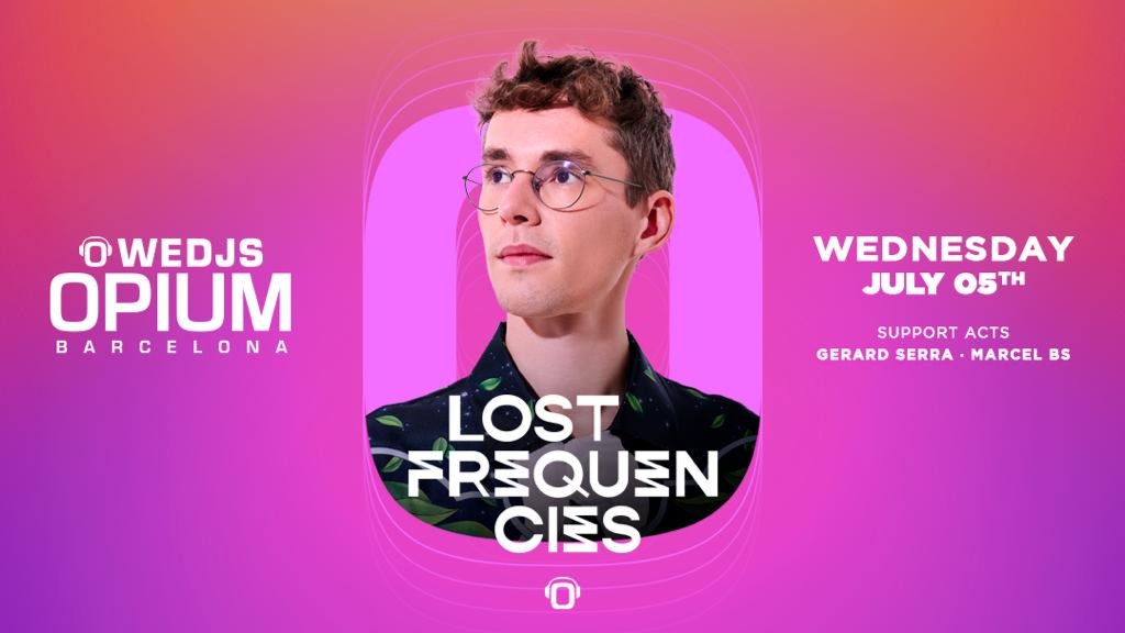 Lost Frequencies - Wedjs image