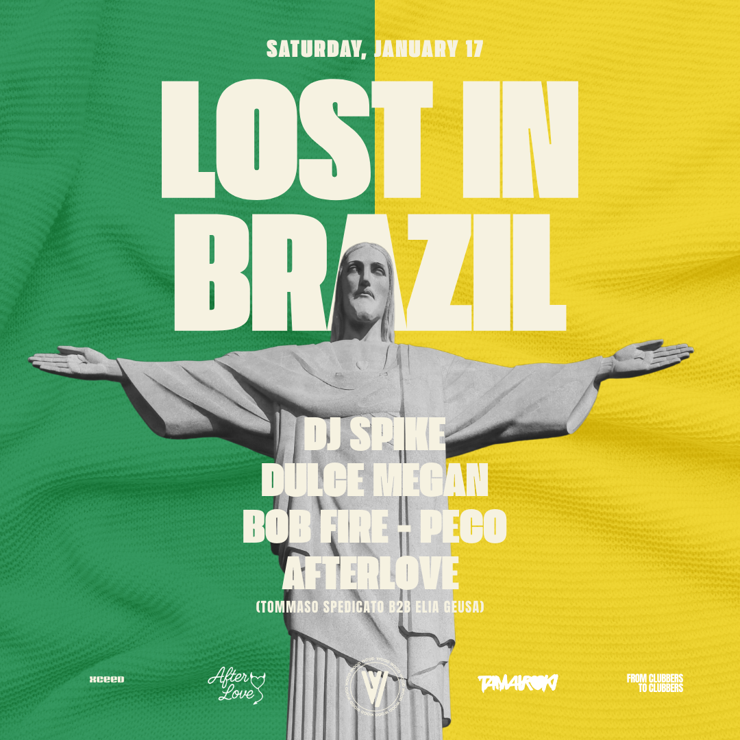 LOST IN BRASIL image