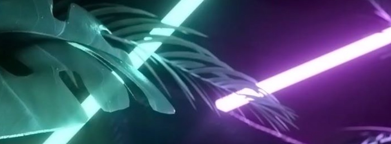 LowKeyMoves.- FAKE GUIDO b2b NOAIPRE+ LOWPROFILE image