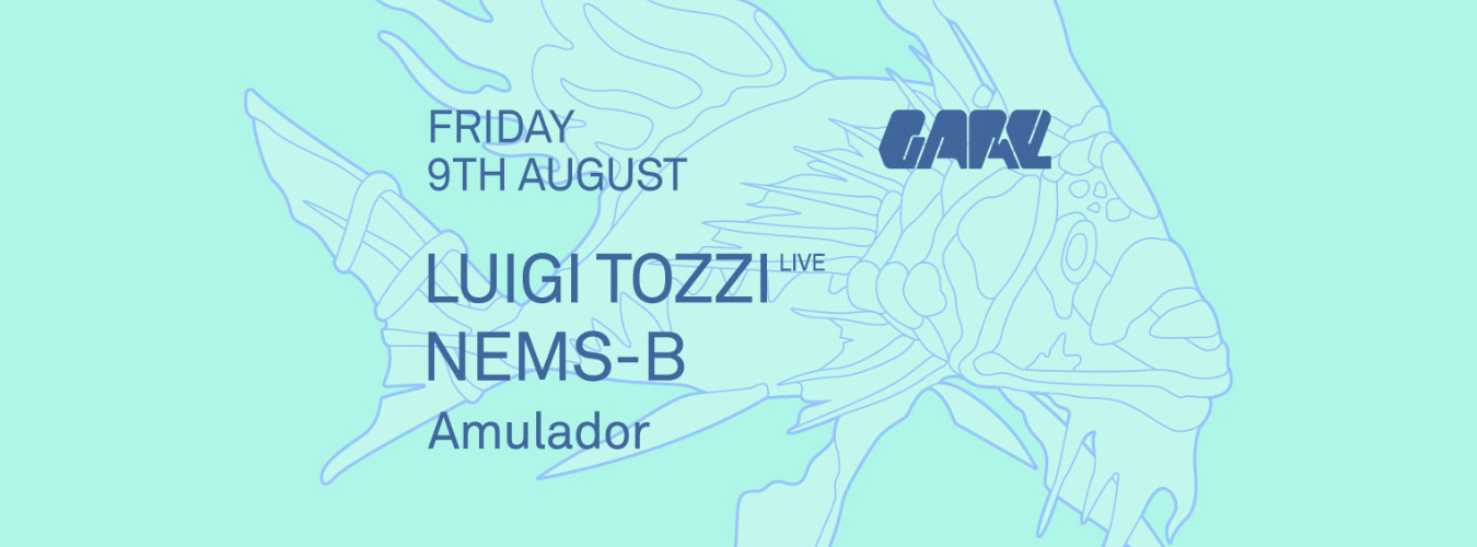 Luigi Tozzi live, Nems-B, Amulador image