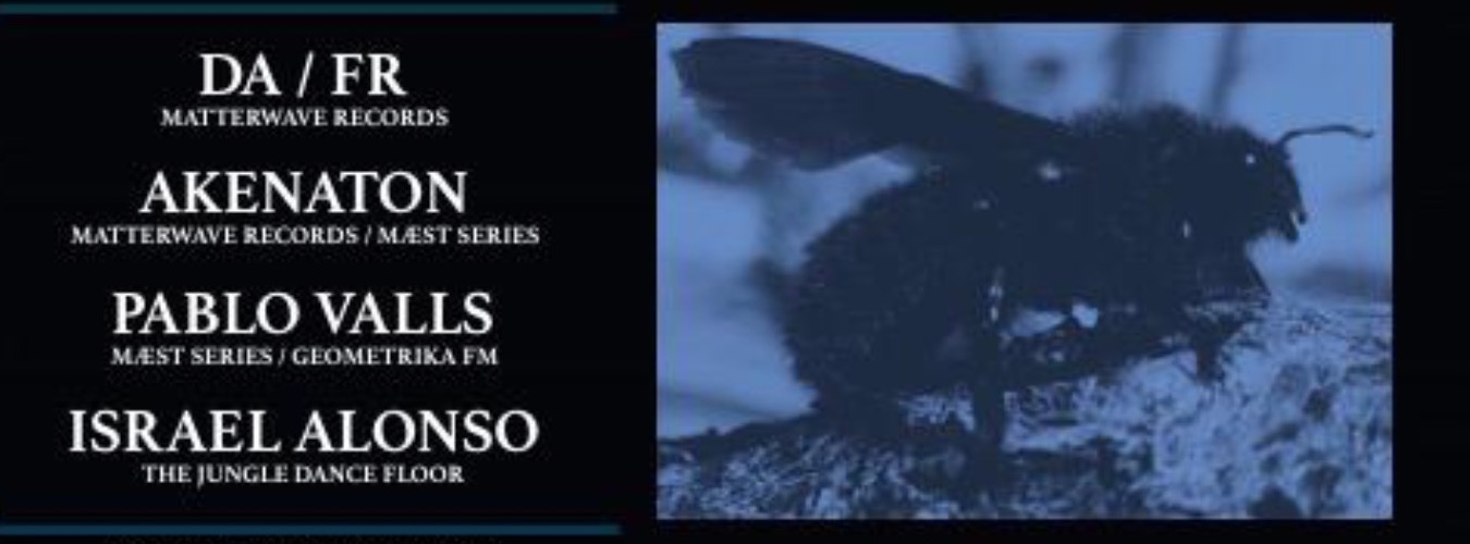 MÆST SERIES / THE JUNGLE DANCE FLOOR