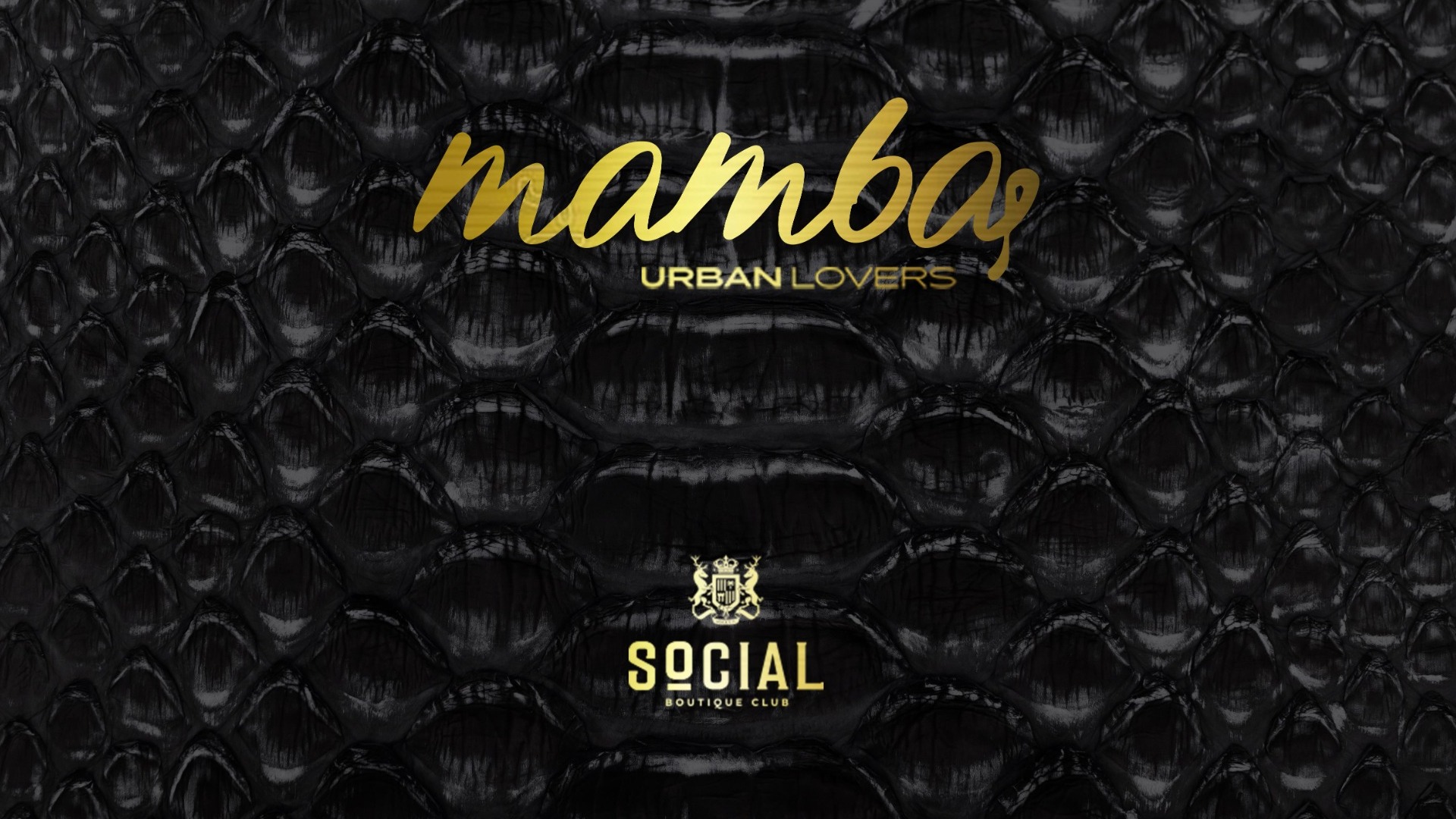 Mamba Urbana at Social Club