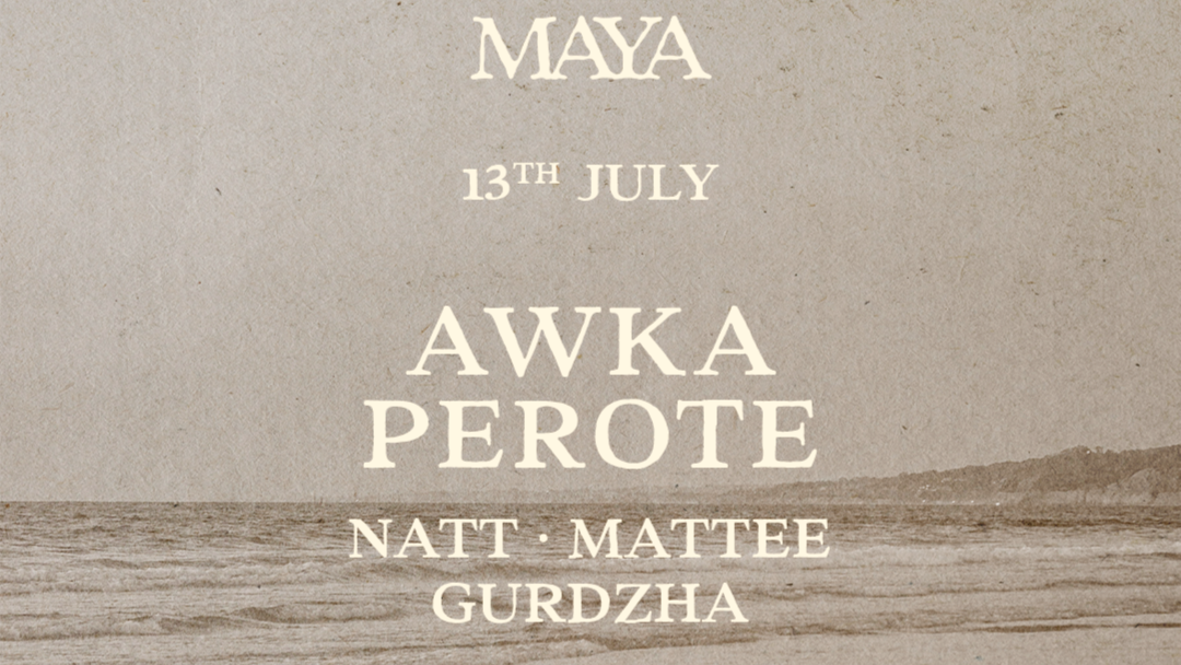 MAYA SALTY 13/07 image