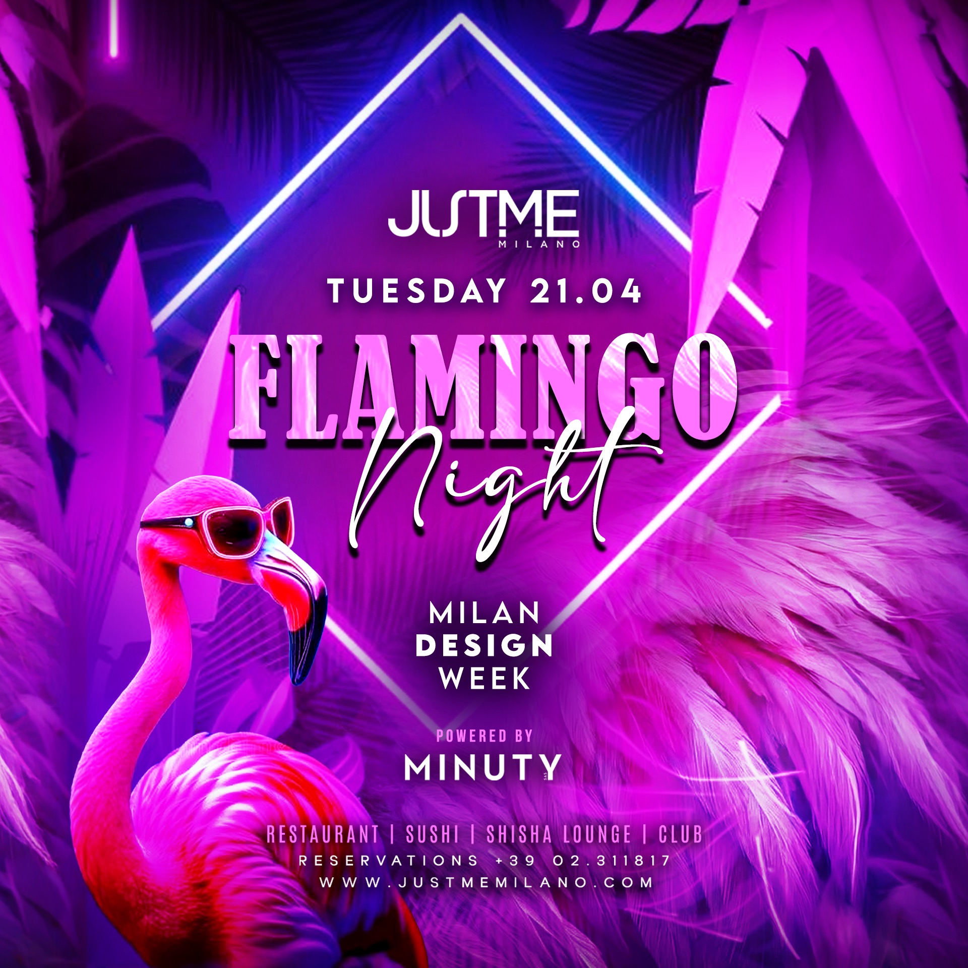MDW Flamingo Night image