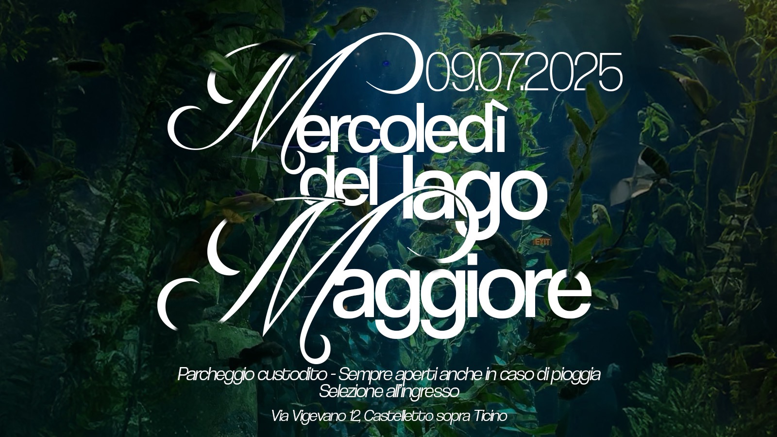 Mercoledì Del Lago Maggiore // 09.07 image