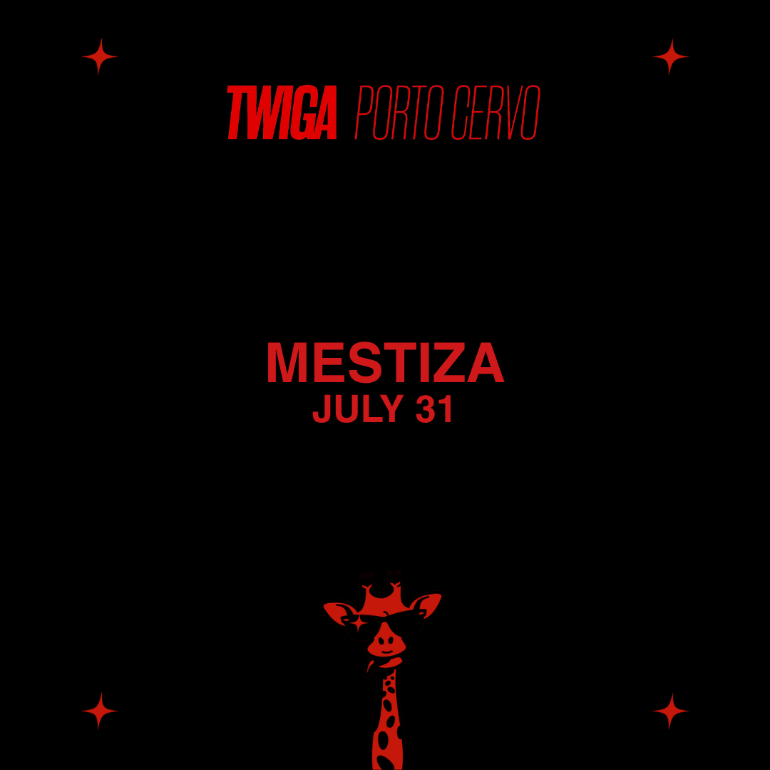 MESTIZA image