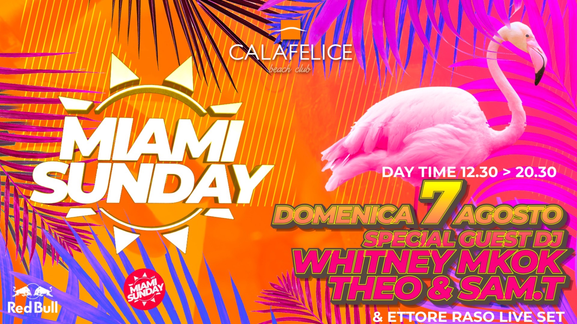 MIAMI SUNDAY Vol.4