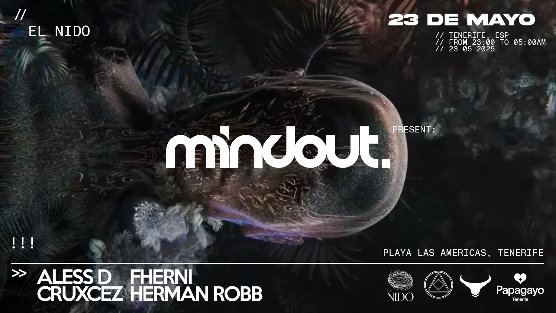  Mindout · @El Nido · Fri. 23rd May 2025 image