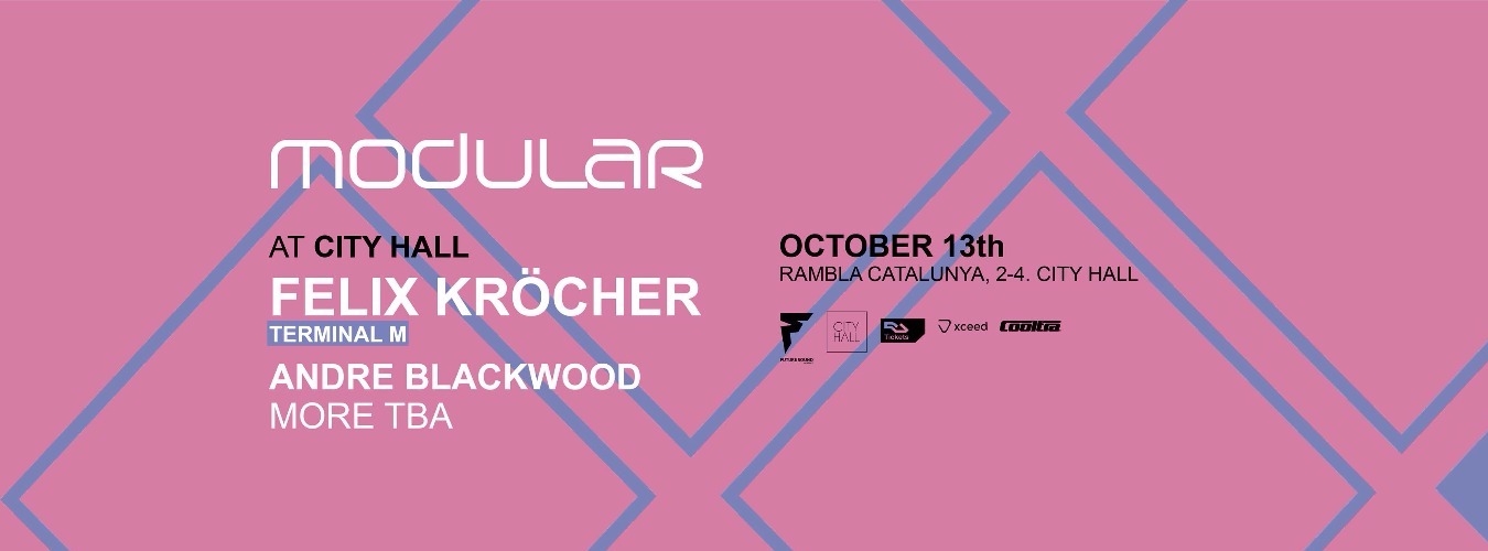 Modular with Felix Kröcher image