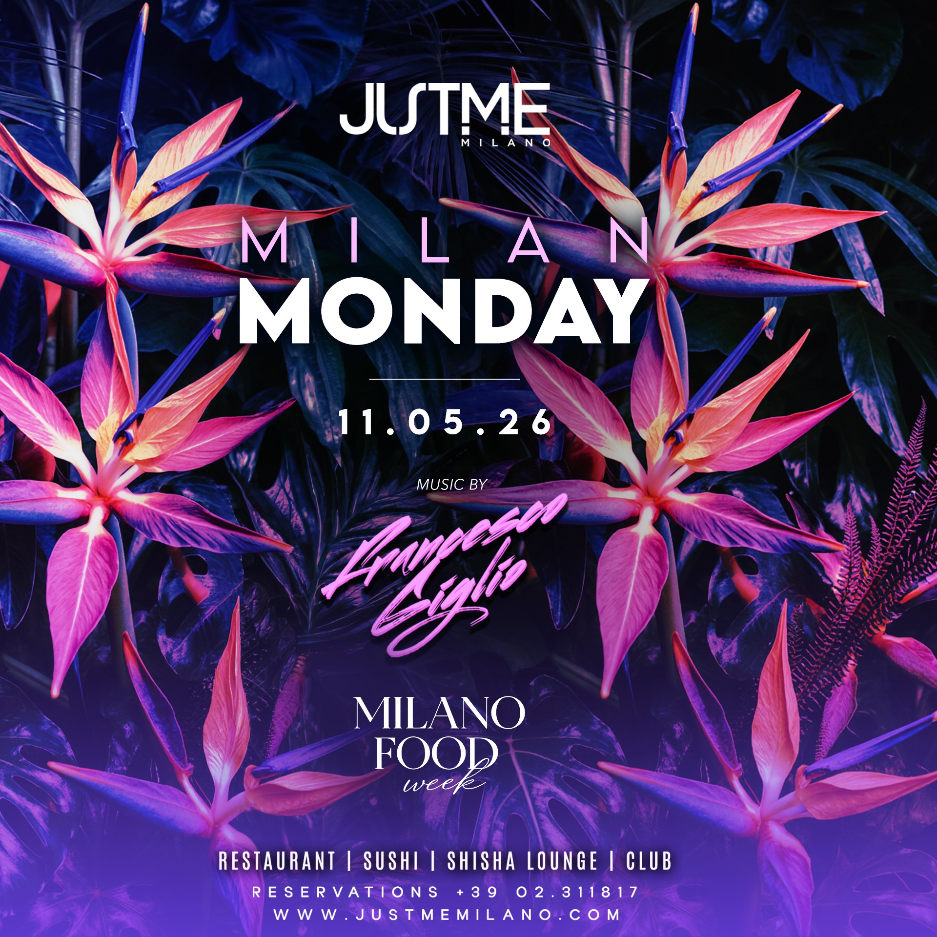 Monday Night image