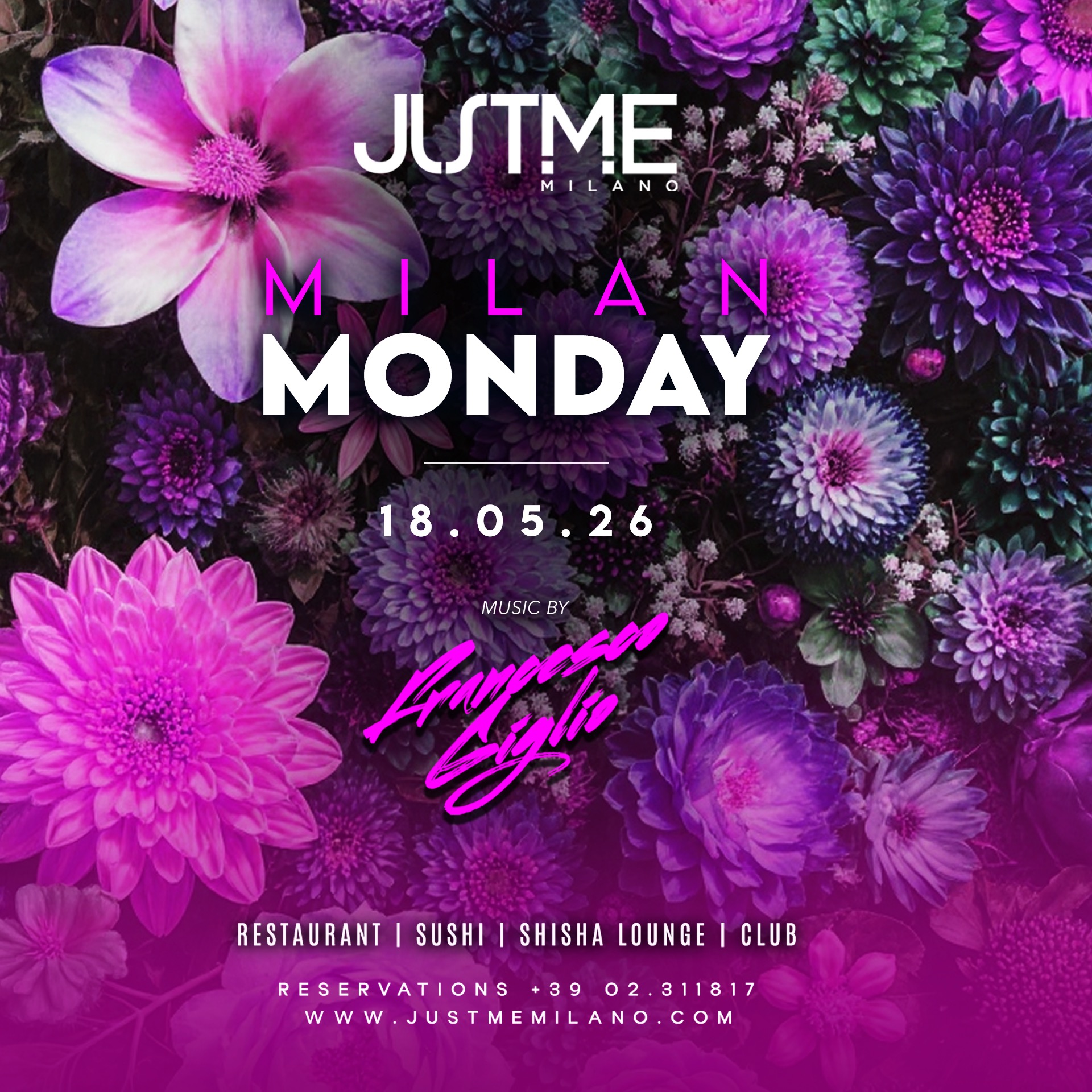Monday Night image