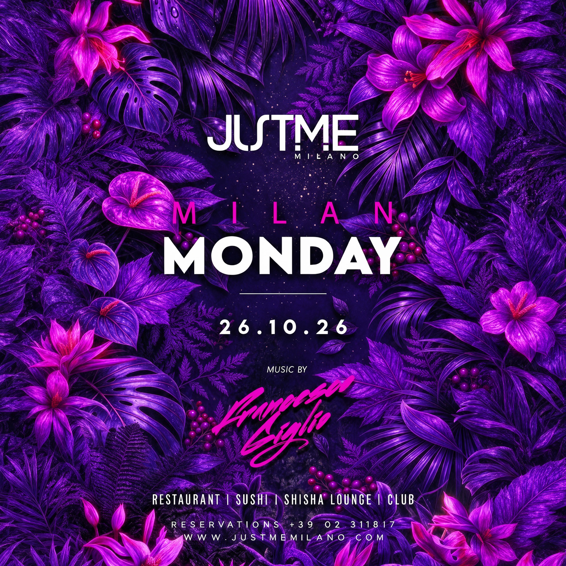 Monday Night image