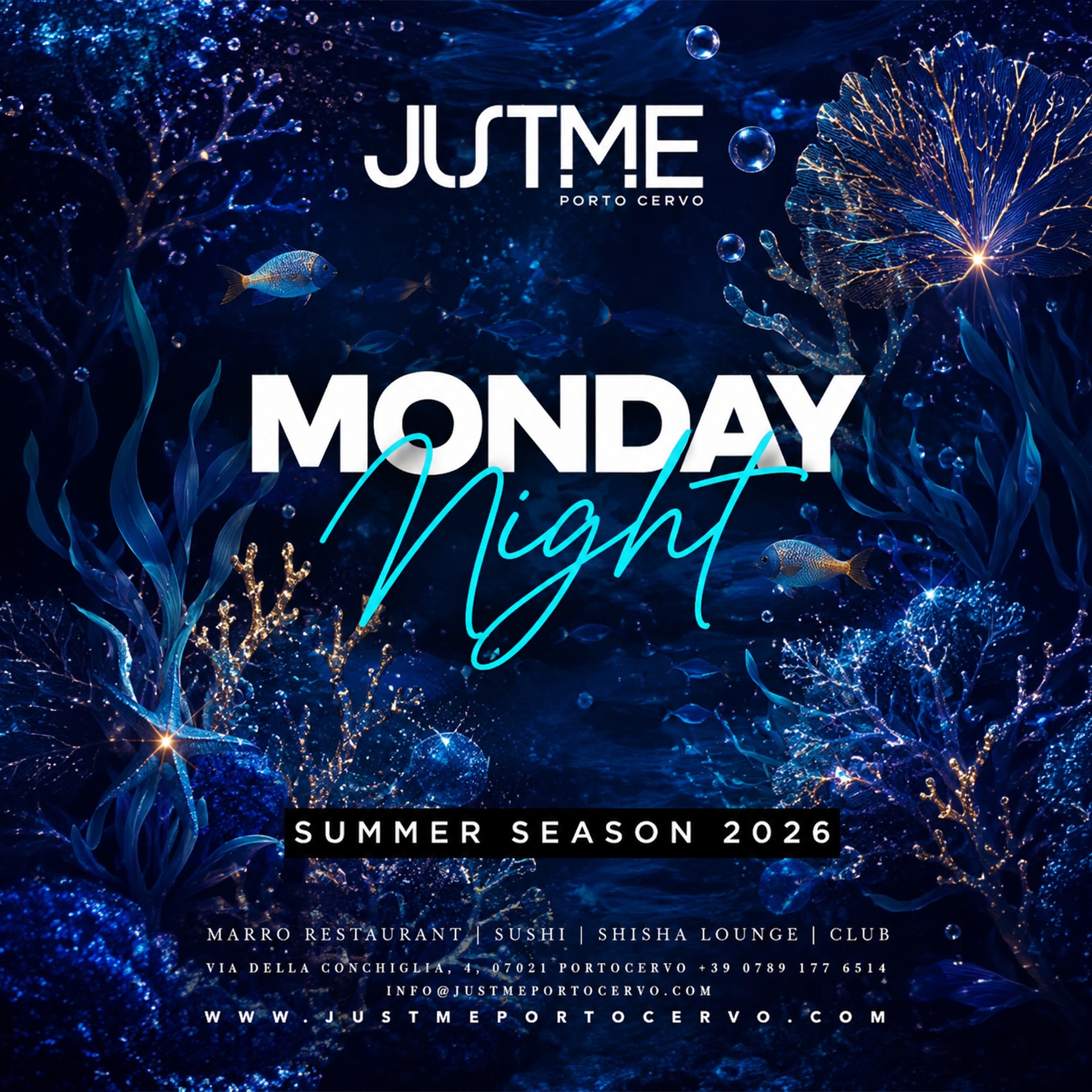 Monday Night