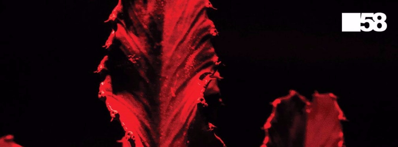 Moreon & Baffa image