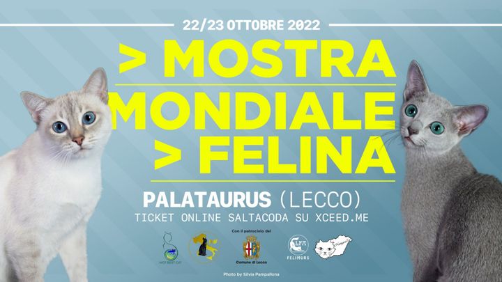 Cover for event: Mostra Mondiale Felina 2022 - SABATO