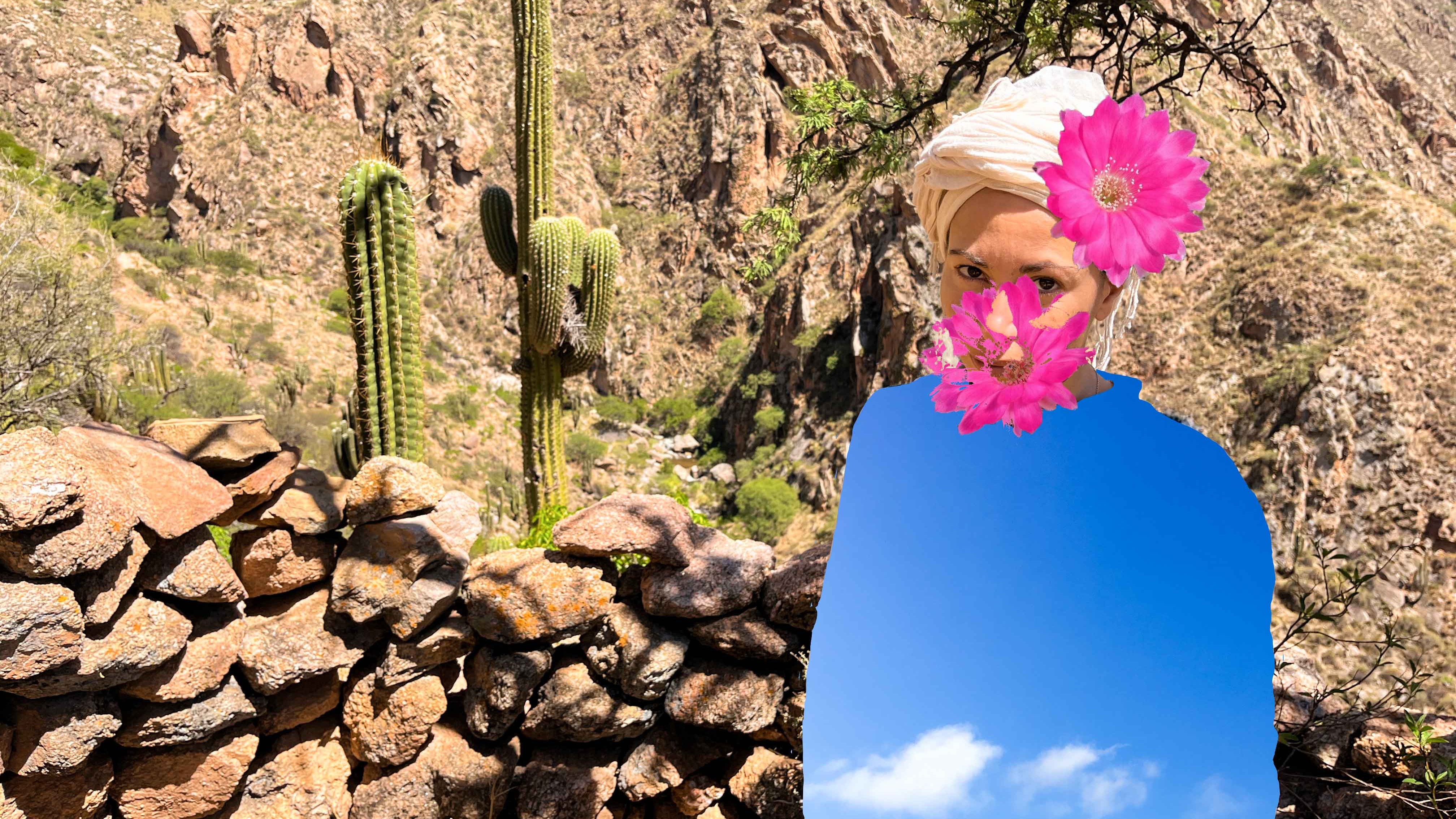 Musica in Prossimità 2023 - ABBONAMENTI  image