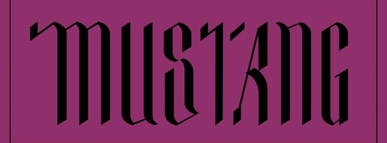 Mustang XXL • 22 NOV 19 • Chicago — Belfast — Paris image