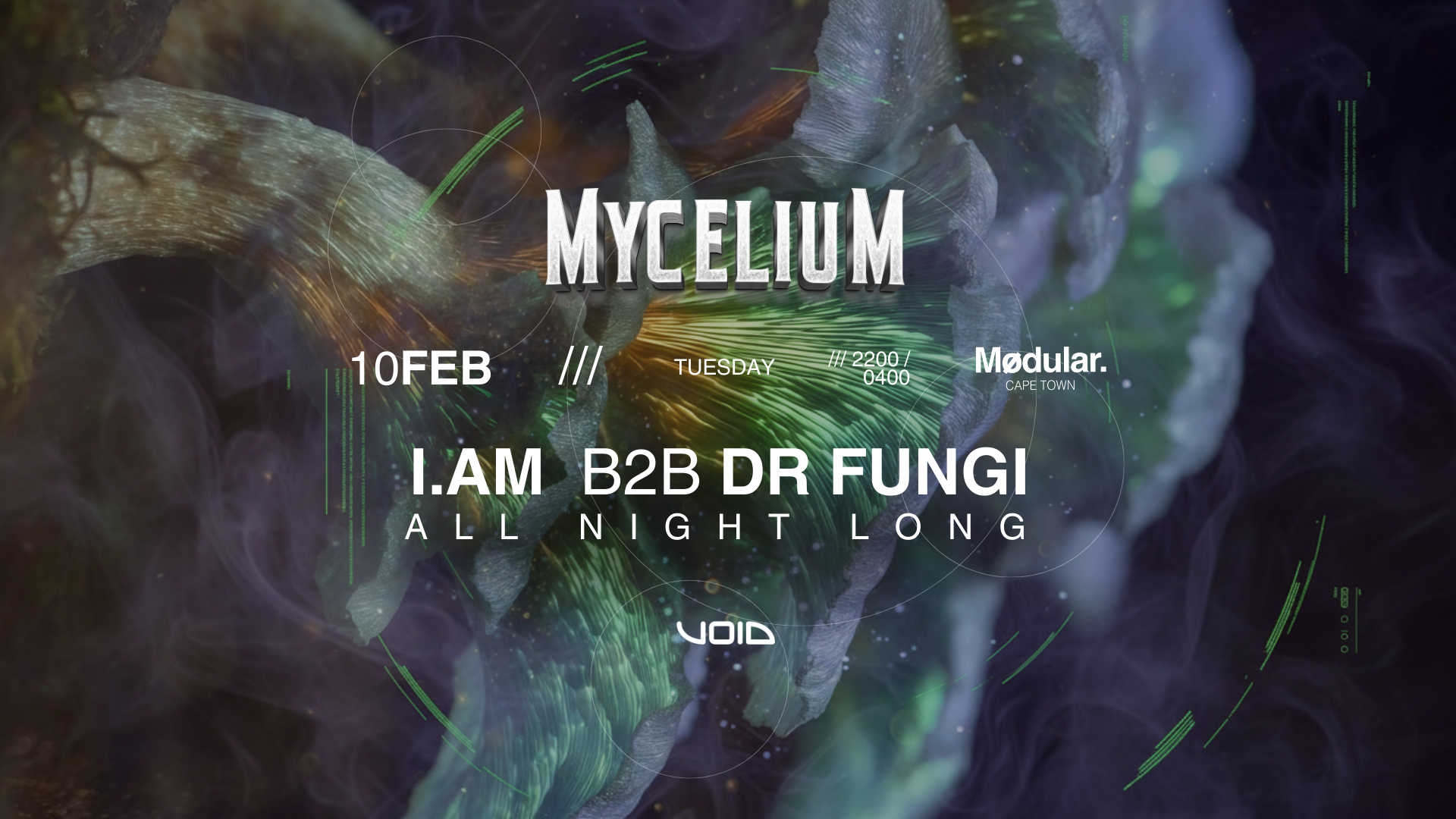 Mycelium image