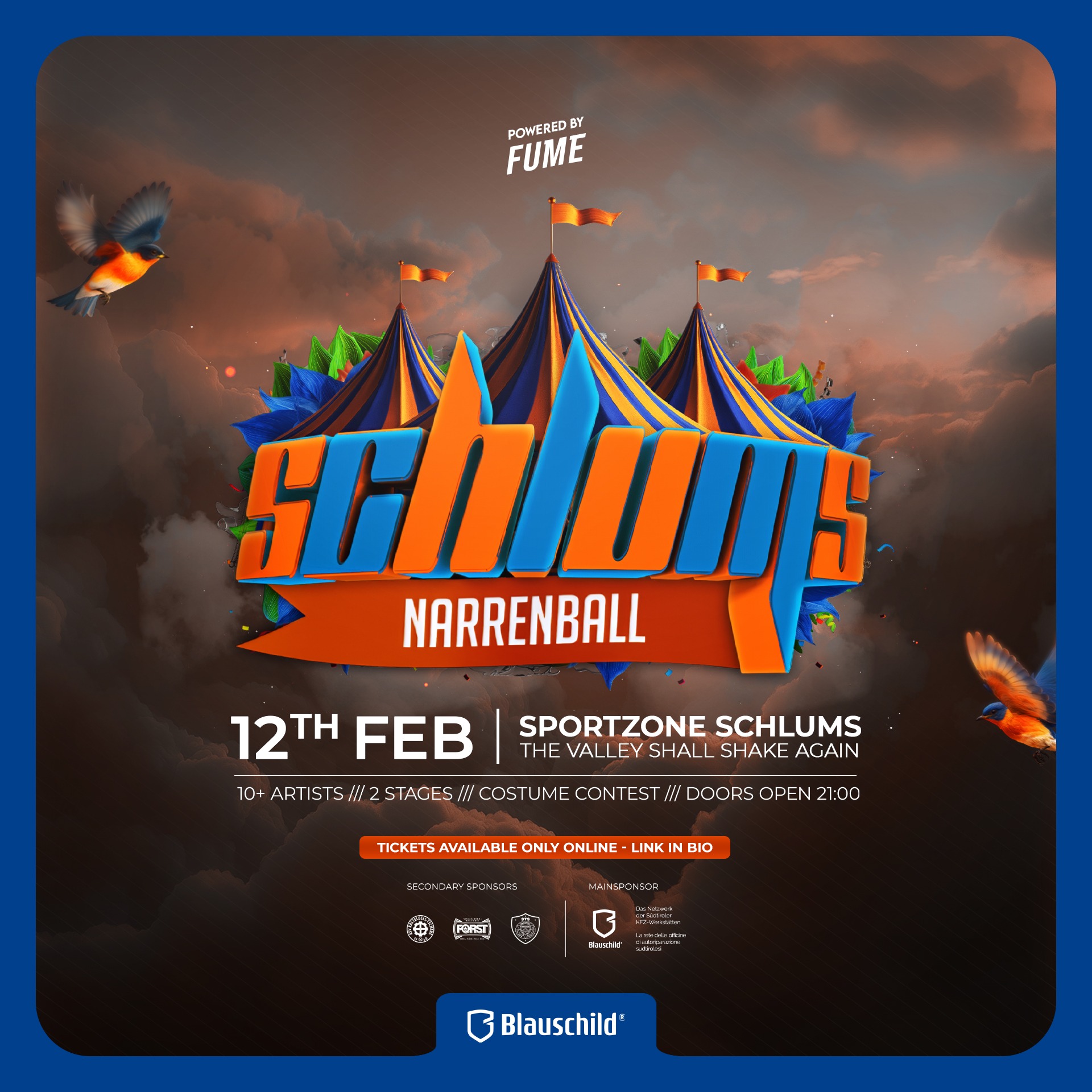 Narrenball 2026 image