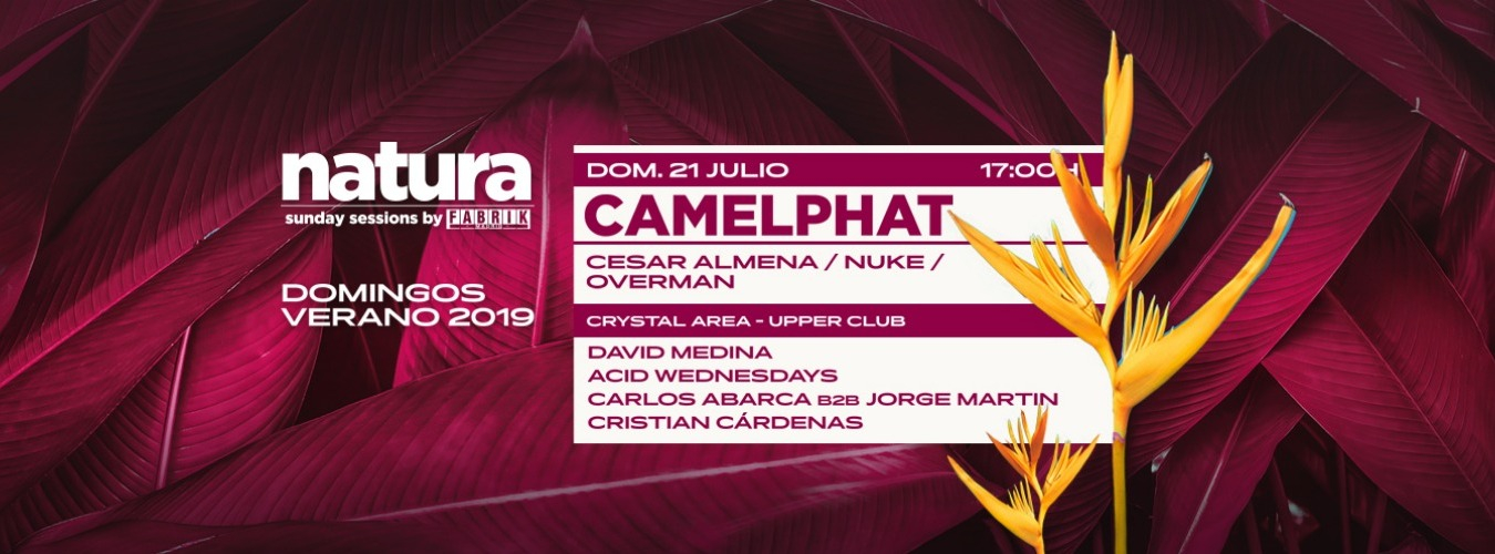 Natura Sunday | Camelphat