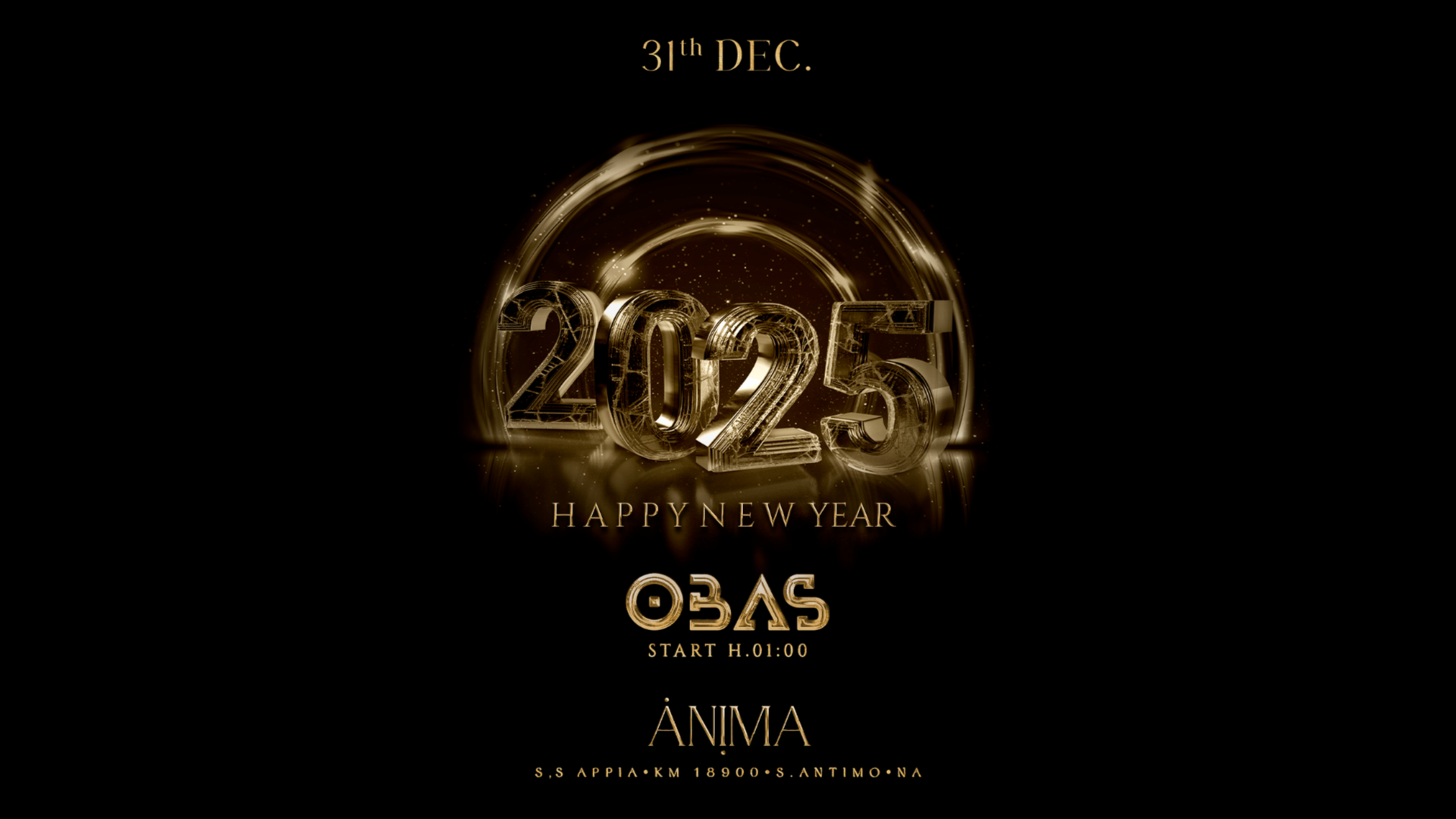 New Year's Eve at Anima Club