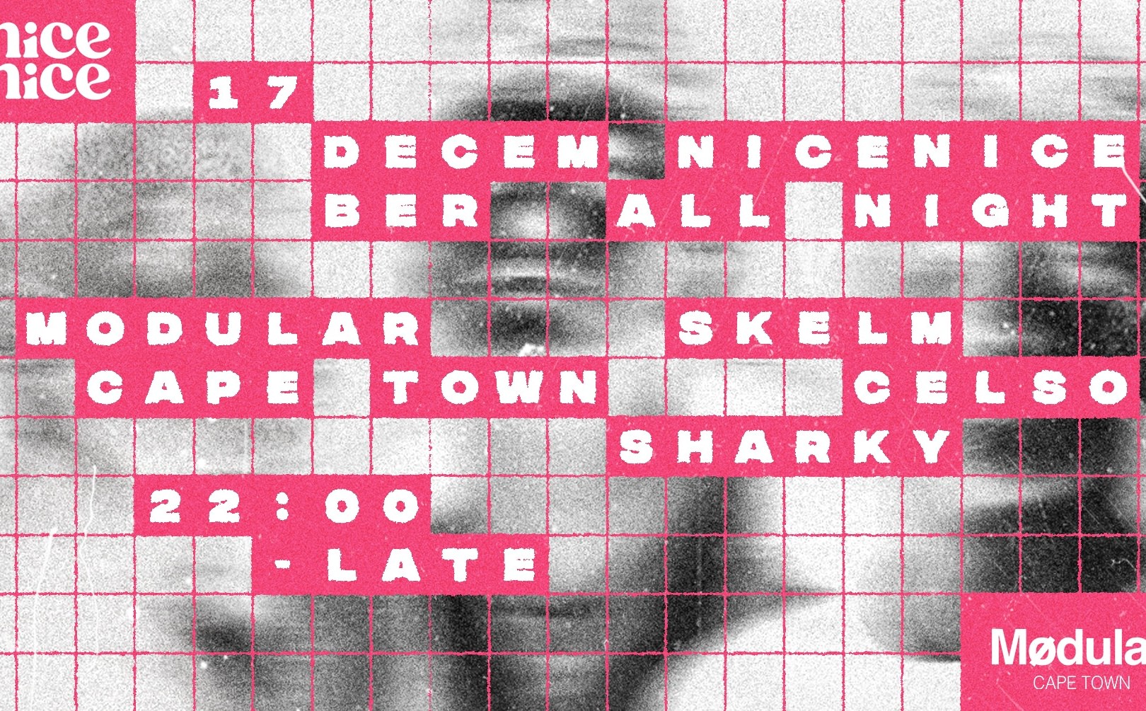 Nice Nice at Mødular. image