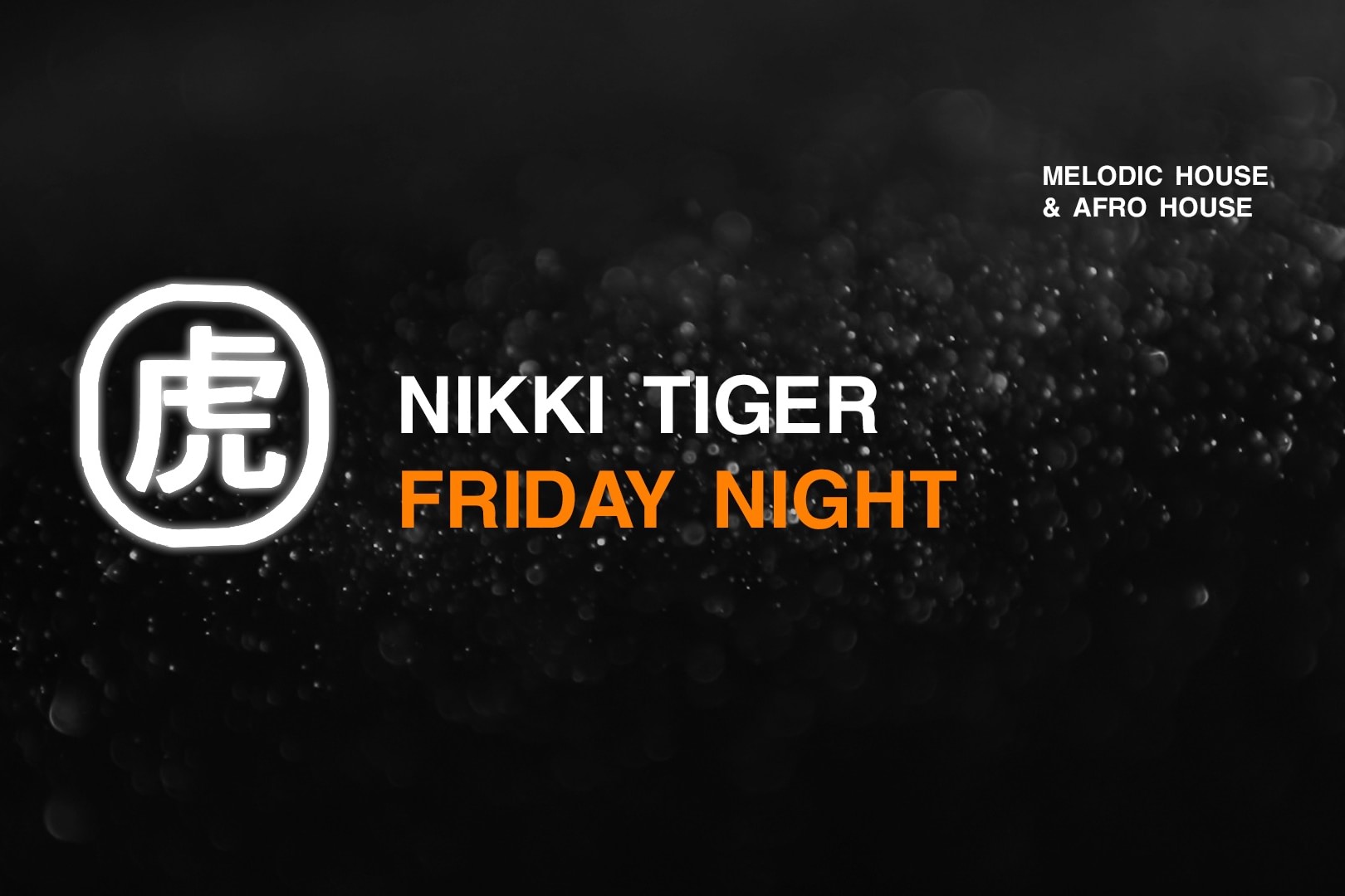 Nikki Tiger Friday presents LIQUID BEATS X SANKOFA NIGHTS image