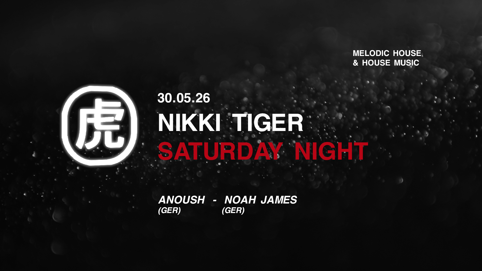 Nikki Tiger Saturday presents Anoush & Noah James - Techno Party in Hamburg