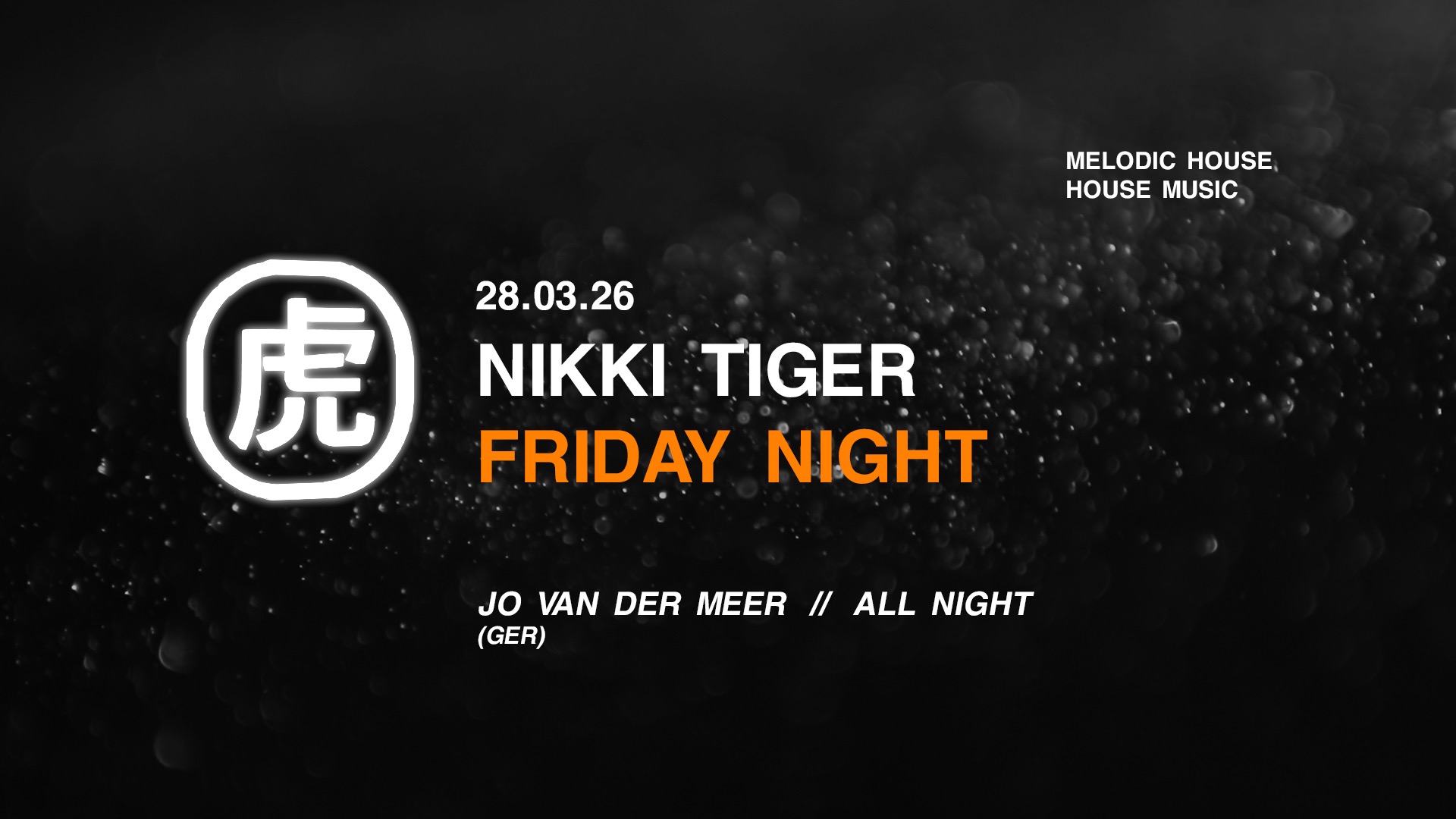 Nikki Tiger Saturday presents Jo Van der Meer - Soirée techno à Hamburg