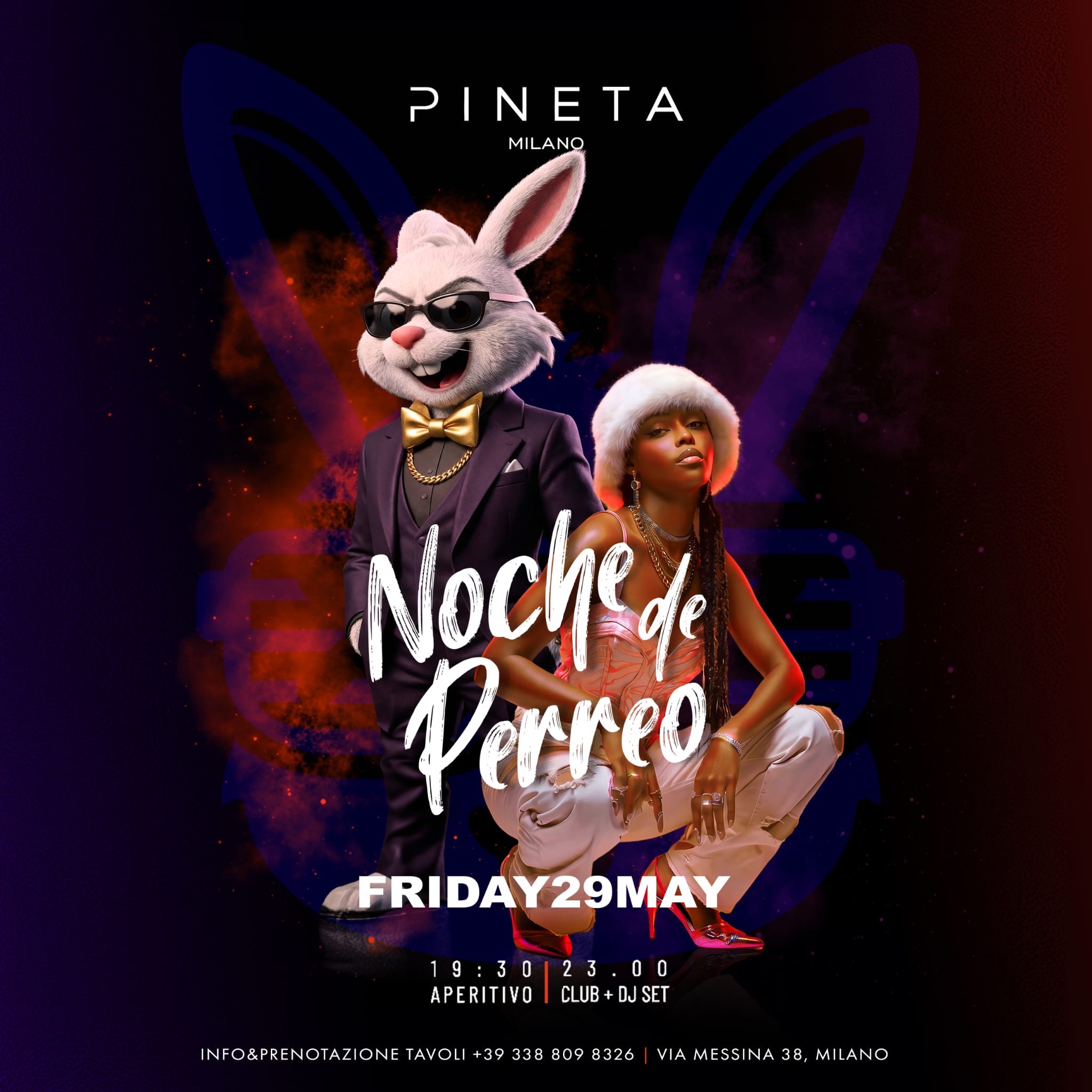 Noche de Perreo image