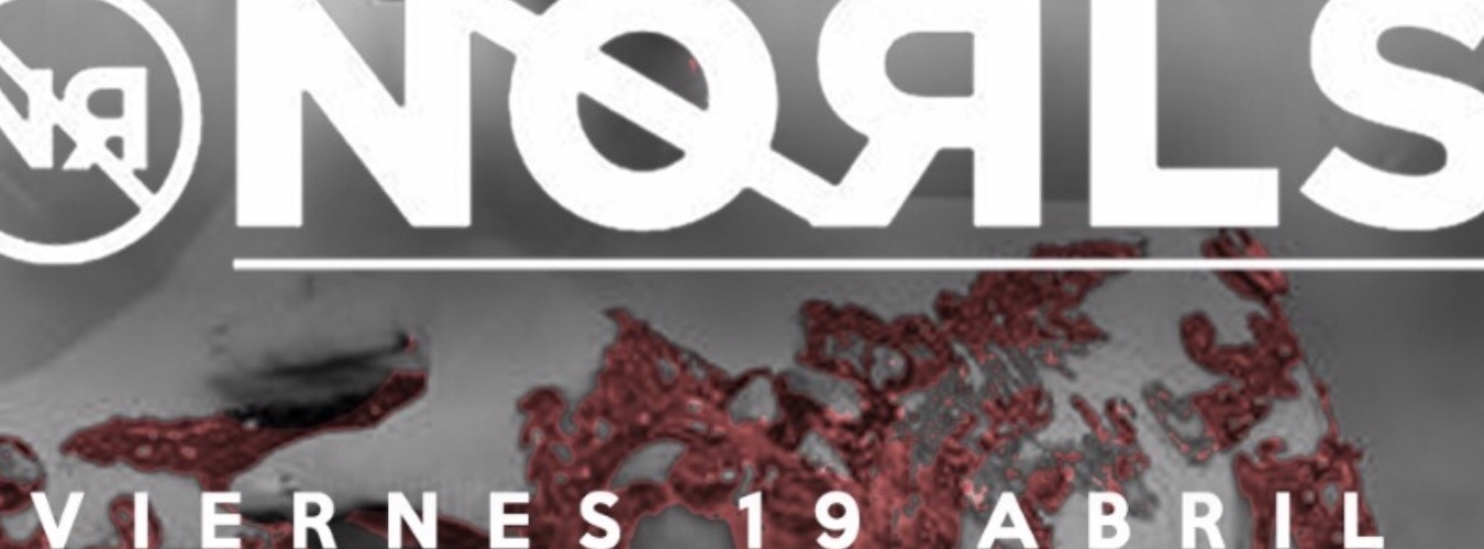 NORLS viernes 19 abril