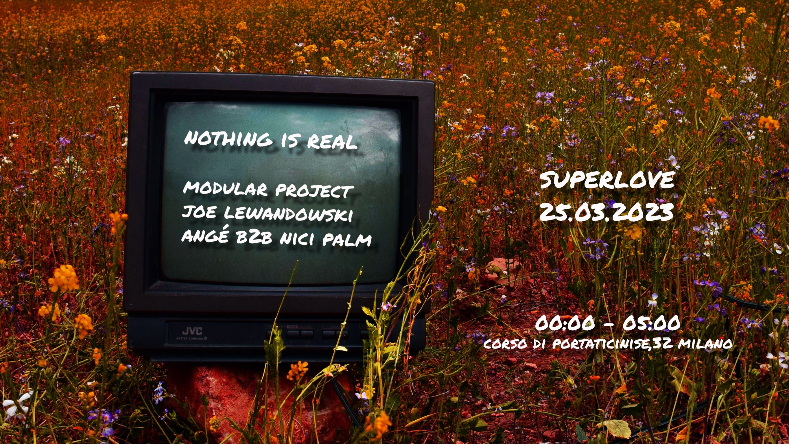 Nothing is Real w/ Modular Project image