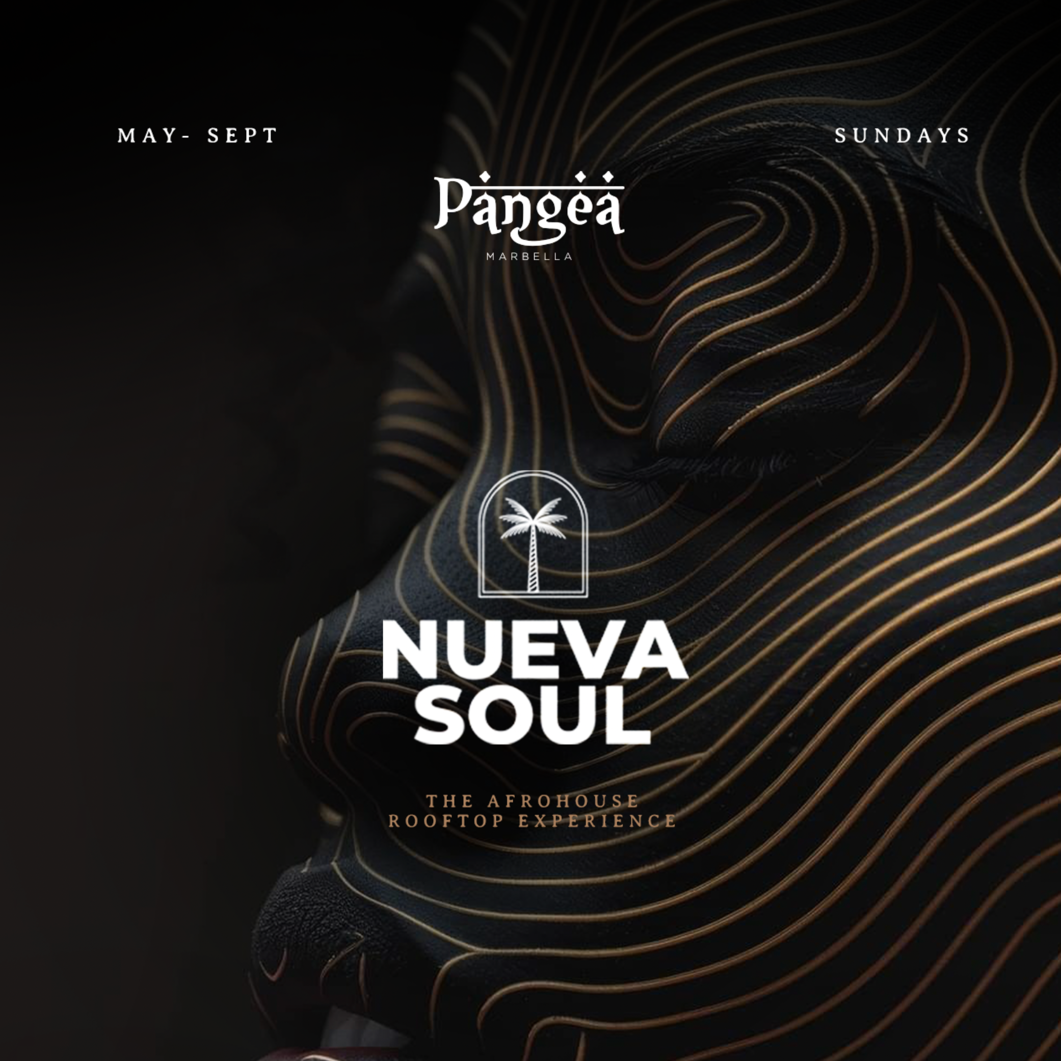 Nueva Soul - The AfroHouse Rooftop Experience image