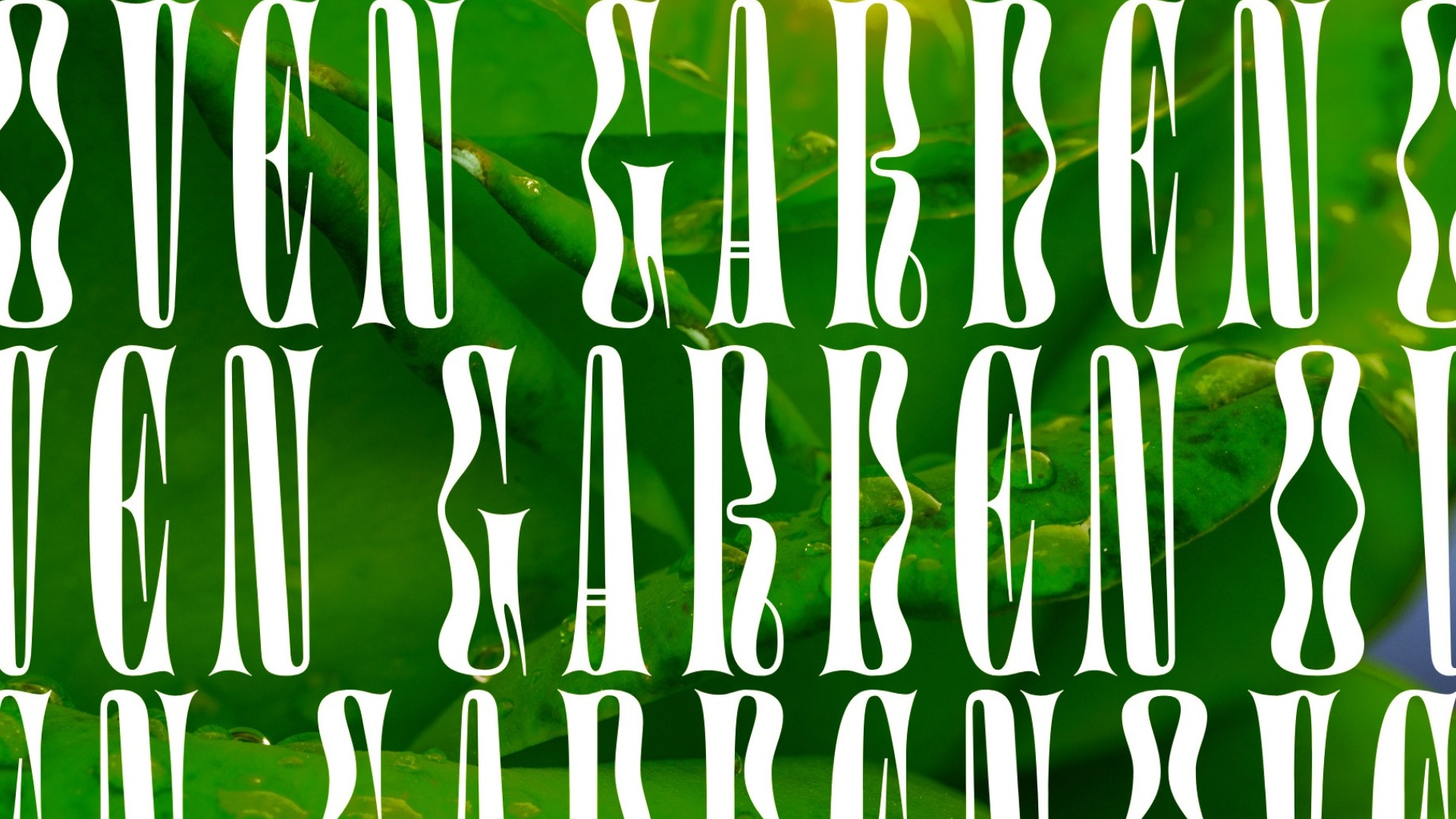 O V E N   G A R D E N