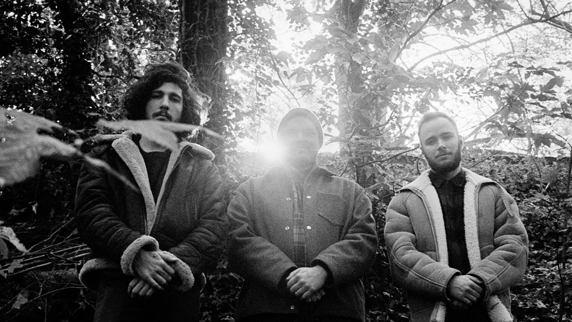 OCCULT HAND ORDER + NSDX image