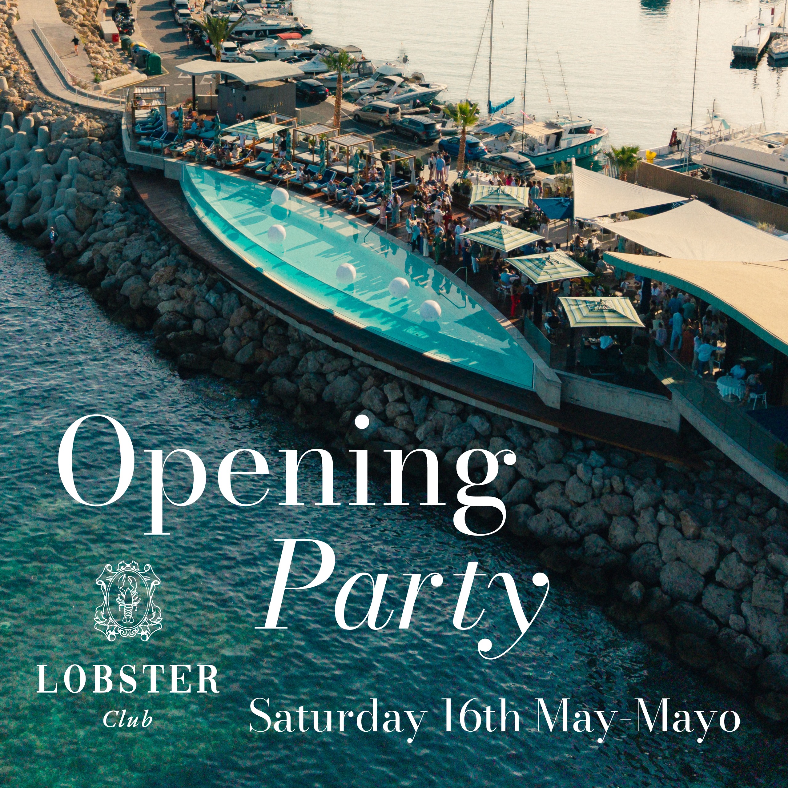 Opening Party image