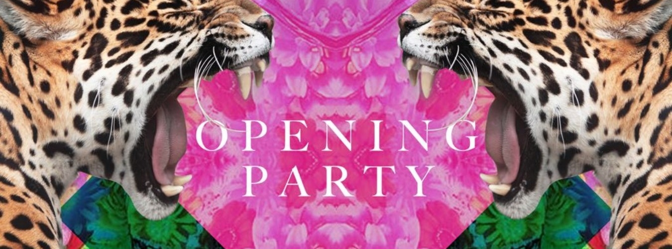 OPENING PARTY - FRIDAY NIGHT