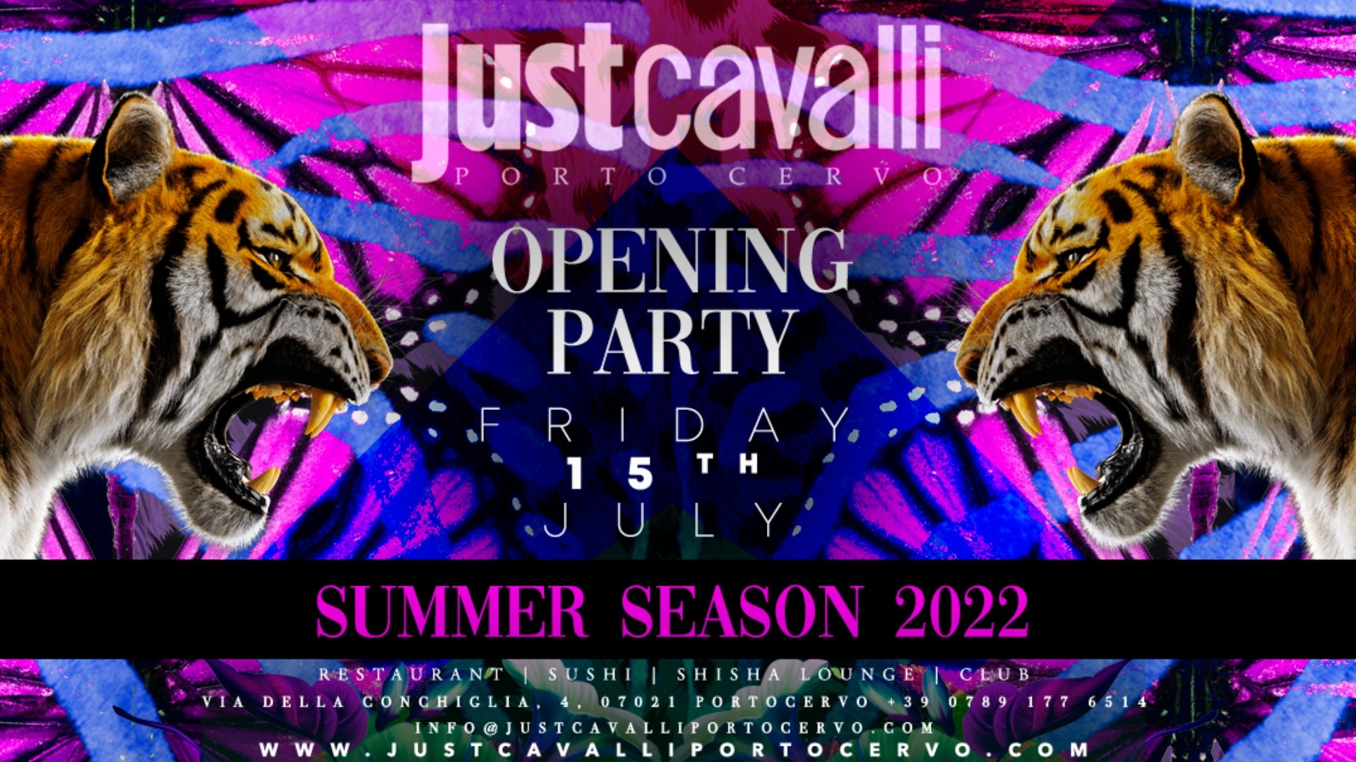 OPENING PARTY - FRIDAY NIGHT