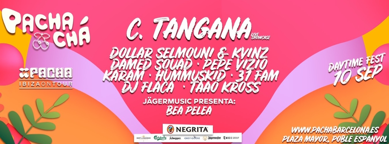 Pacha-Chá Daytime Fest image