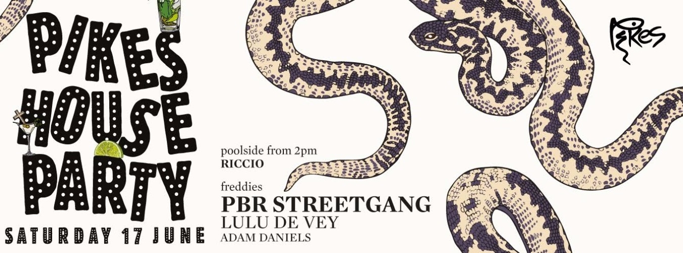 Pikes House Party image